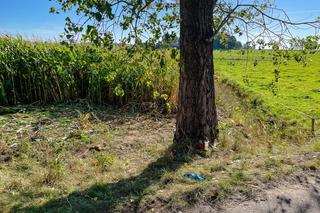 2-letni Grześ zginął w tragicznym wypadku! Jego ciężarna mama walczy o życie