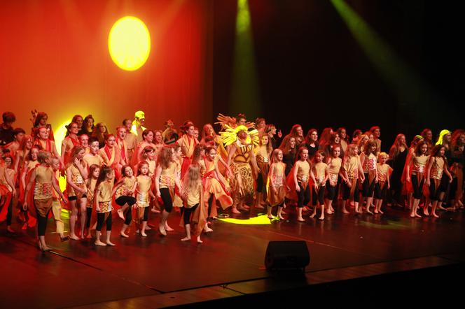 Kraków: Lew - Król Sawanny rzucił widzów na kolana