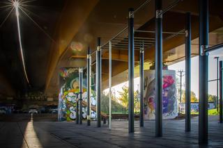 Spacerowicze w szoku. Pod mostem Siekierkowskim stanął ring bokserski