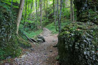 Ojcowski Park Narodowy