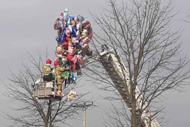 Ratowali... baloniki! Niecodzienna akcja strażaków spod Sławna