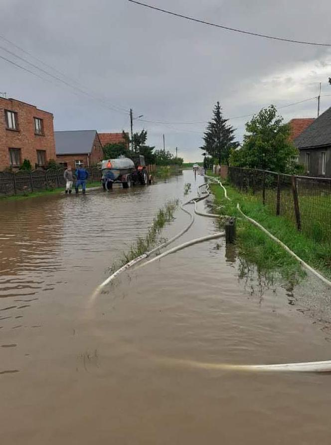 Bączylas w pow. gostyńskim walczy z wodą