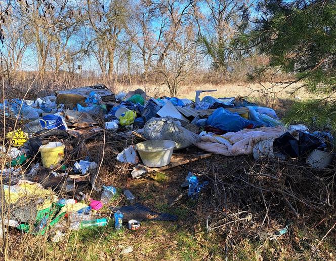 Tona śmieci na działkach pod Gorzowem. Burza w sieci