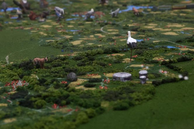 Nowa atrakcja na Mazurach. Dzięki niej poznasz historię i przyrodę regionu