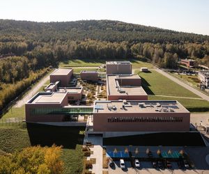 Kampus oparty o ścianę lasu. Kompozycję tworzą prostopadłościany o różnych proporcjach, spaja je kolorystyka w tonacjach ziemi