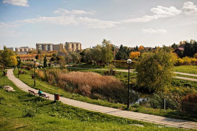 Miasto szuka projektanta remontu parku na Gołębiowie