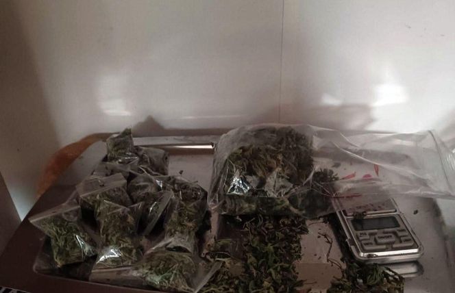 Policjanci z Koszalina przechwycili narkotyki warte pół miliona złotych