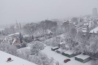 Atak zimy w Białymstoku [26.01.2021]