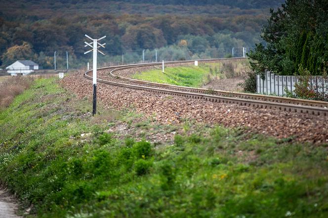 Przejechał po nim pociąg i żyje