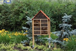 Rewitalizacja plantów w Kaliszu