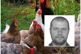 Sprzedawca kurczaków zaszlachtował ofiary toporkiem do mięsa. Niebezpieczny Rafał Pacyna jest na wolności! Uważajcie
