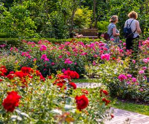 Przepiękne polskie ogrody botaniczne na weekend