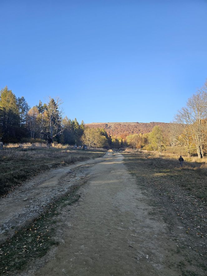 Bieszczady na jesień 