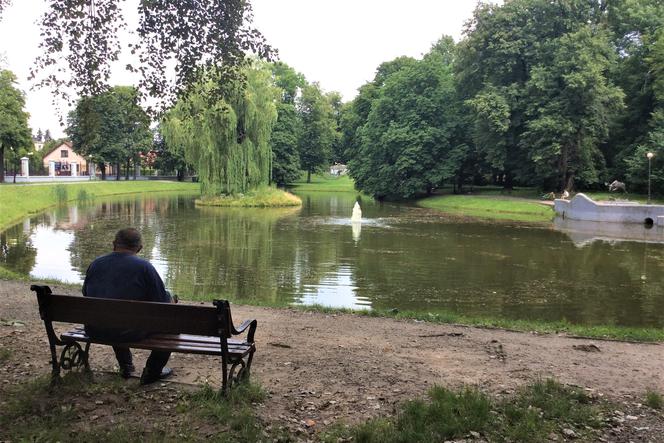 Będą nowe kwiaty i krzewy. Kolejne zmiany w parku miejskim 