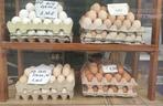 Jajka i sprzedawcy na halach targowych