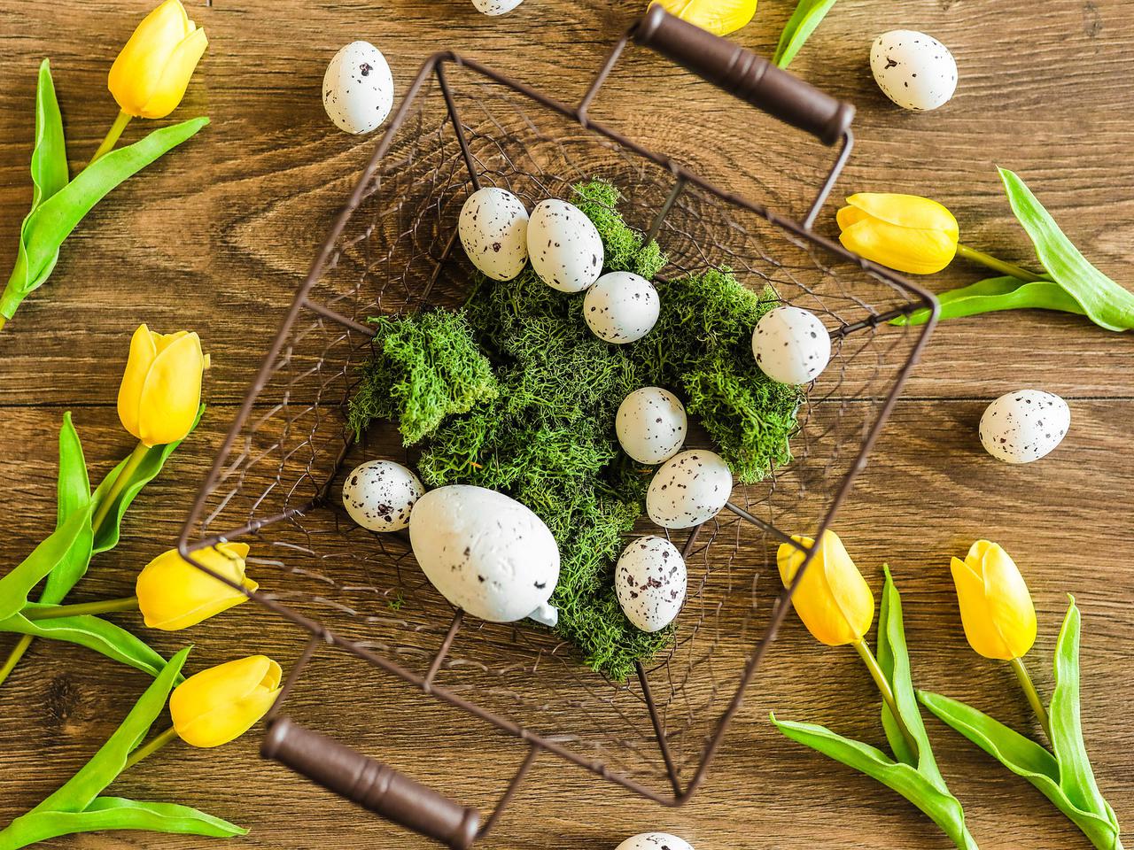 Święta Wielkanocne 2022 - jaka będzie pogoda? 