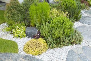 Nawierzchnie żwirowe