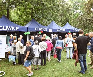Agnieszka Chylińska, Oskar Cyms i inni. Tak świętowano Dni Gliwic