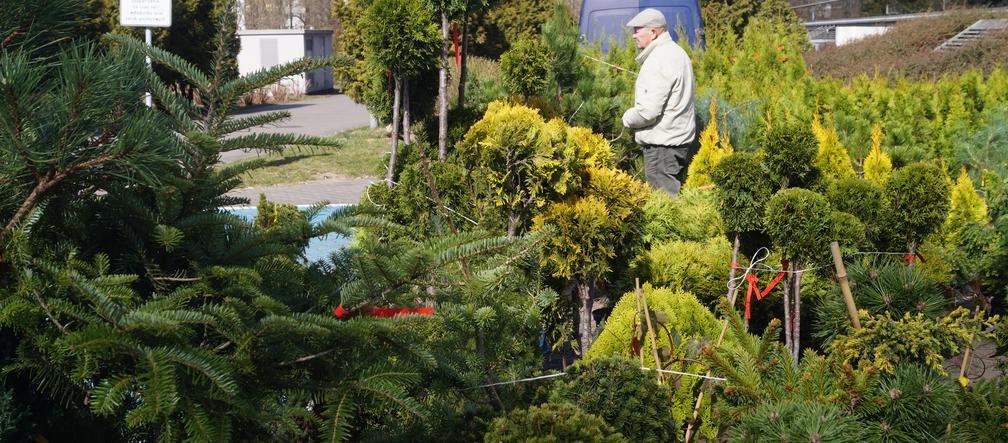 Wiosenny Kiermasz Ogrodniczy w Bydgoszczy [ZDJĘCIA]