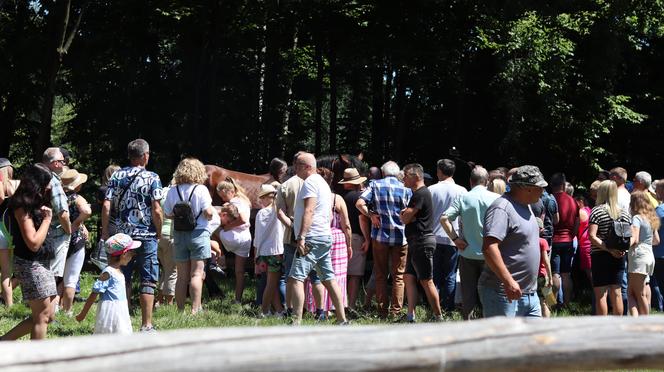 Jarmark koński w lubelskim skansenie przyciągnął tłumy