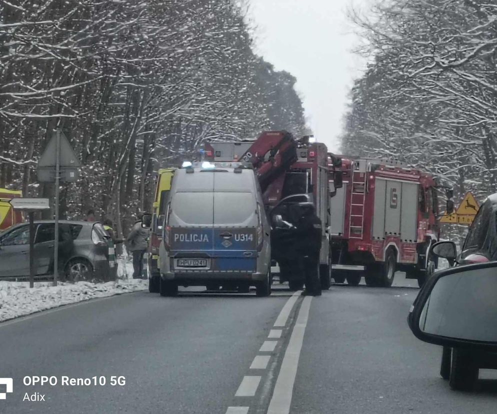 Wypadek na DK 12. Droga zablokowana [ZDJĘCIA]