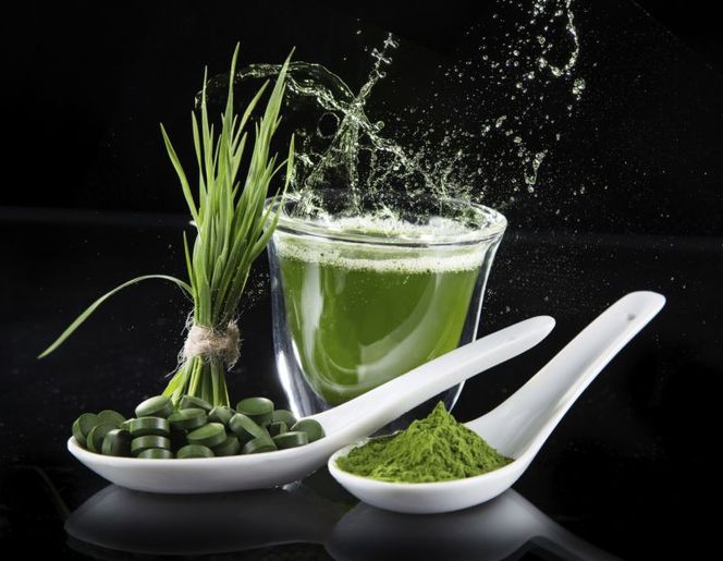 Zielony jęczmień: właściwości i zastosowanie. Czy zielony jęczmień pomaga schudnąć?