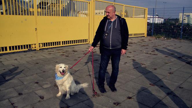 Radosna Parada Psów Adoptowanych przeszła ulicami Bydgoszczy!