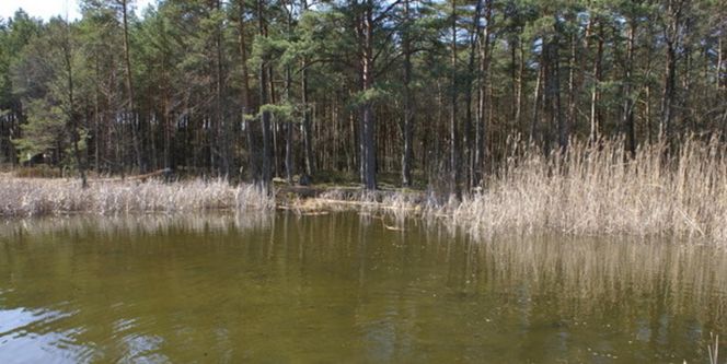 Jezioro