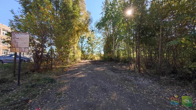 Park Nagórki - Jaroty. Prace przy budowie nowych dojść do zbiornika idą pełną parą [ZDJĘCIA]