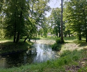 Parki podworskie w powiecie gdańskim