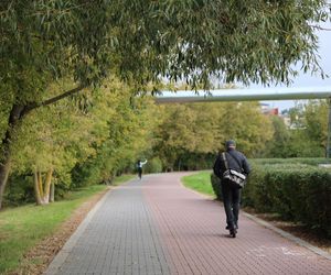 Jesienna odsłona terenów nad Bystrzycą w Lublinie. Tak się prezentuje w październiku