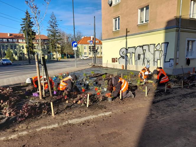 Olsztyn pięknieje. Powstaje kolejna zielona przestrzeń [ZDJĘCIA]