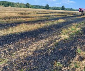 Kombajn ściął słup energetyczny