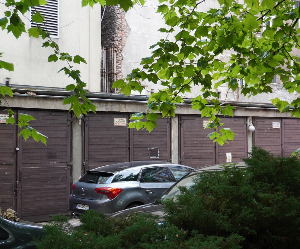 Rząd garaży z ciemnobrązowymi drewnianymi drzwiami, z autami częściowo widocznymi przed nimi i zielonymi liśćmi na pierwszym planie. To ilustracja problemu nowego podatku od garaży w Warszawie, o którym przeczytasz na portalu Super Biznes.