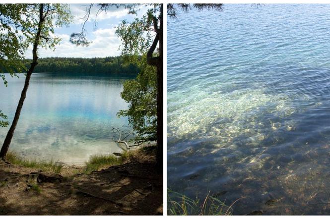 Jezioro Jasne. Zobacz najbardziej przejrzyste jezioro w Polsce