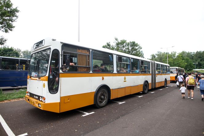 Zlot ikarusów w Mysłowicach