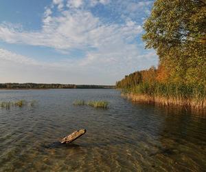 Najczystsze jeziora w Polsce znajdują się na Podlasiu! Zobacz o jakie chodzi
