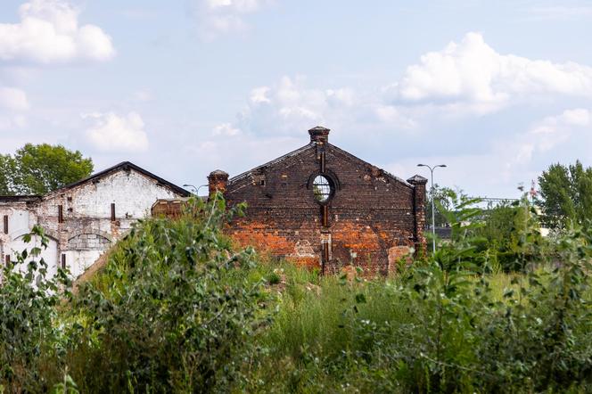 Drucianka Campus na terenie fabryki Drucianka – zniszczone zabytki