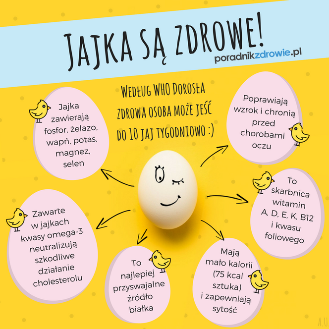 Wyjaśnij Jakie Właściwości Ma Skorupka Jaja Kurzego Dzięki Solom Mineralnym JAJKO - źródło BIAŁKA, skarbnica WITAMIN. Czy jajka są zdrowe