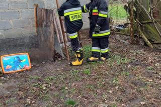 Tragiczny pożar w Świętokrzyskiem! W płomieniach zginął 64-letni mężczyzna [ZDJĘCIA]