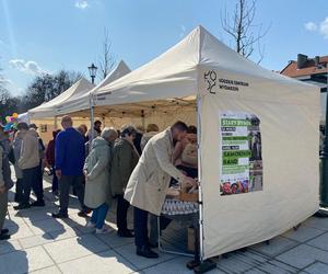 Stary Rynek