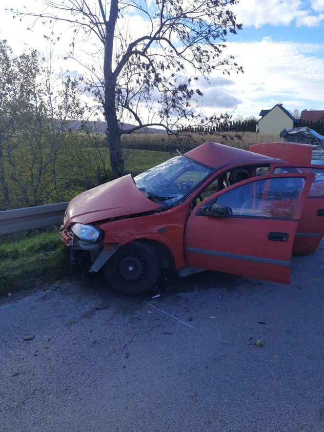 Tragiczny wypadek w miejscowości Wzdół Kolonia. Nie żyją dwie osoby, kolejne dwie są ranne