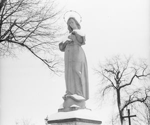 Cmentarze Powązkowskie - 1946-1963