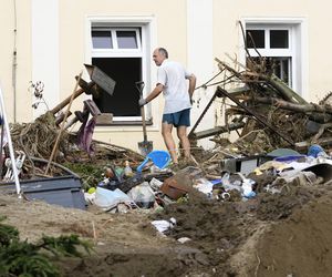 Burmistrz wyjechała na drogie wakacje, w tym czasie jej miasteczko zalała wielka fala. Nie wrócę