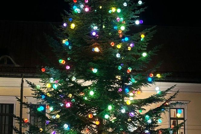 Choinka pod Oknem Papieskim