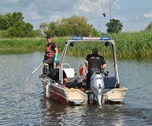 Jezioro Dąbie i śnięte ryby 