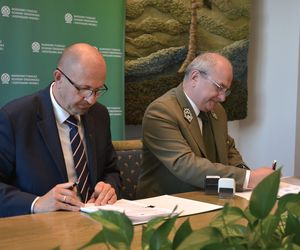 W woj. lubelskim powstanie nowa atrakcja turystyczna. Będzie można chodzić w koronach drzew