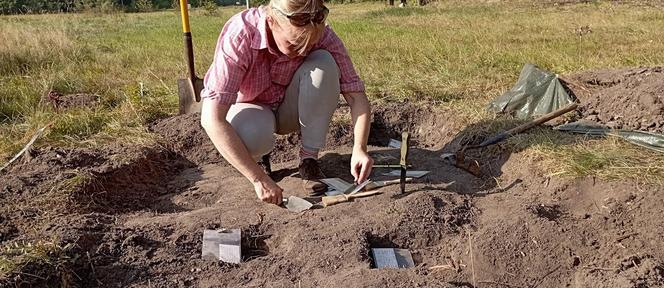 Sensacyjne odkrycie w Borach Tucholskich. Takie wykopalisko jest rzadkością, a znaleziono aż 29 skarbów