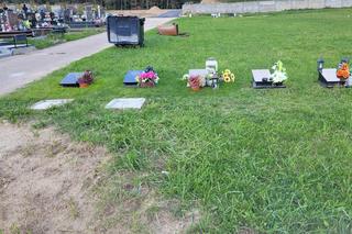 Tak wygląda „amerykański” cmentarz w Dywitach. Ile kosztuje miejsce?