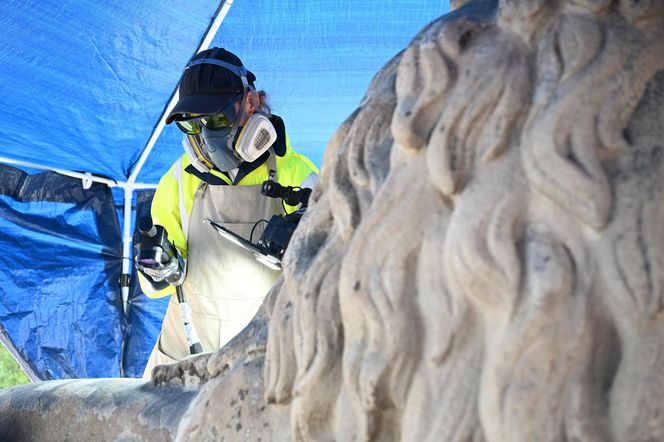 Renowacja koszalińskich lwów